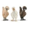 Schleich - Chicken Friends (42574) -Randboutique Für Kinder schleich chicken friends 42574