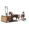 Schleich - Horse Club - Washing Area With Emily & Luna (42438) -Randboutique Für Kinder schleich horse club washing area with emily luna 42438